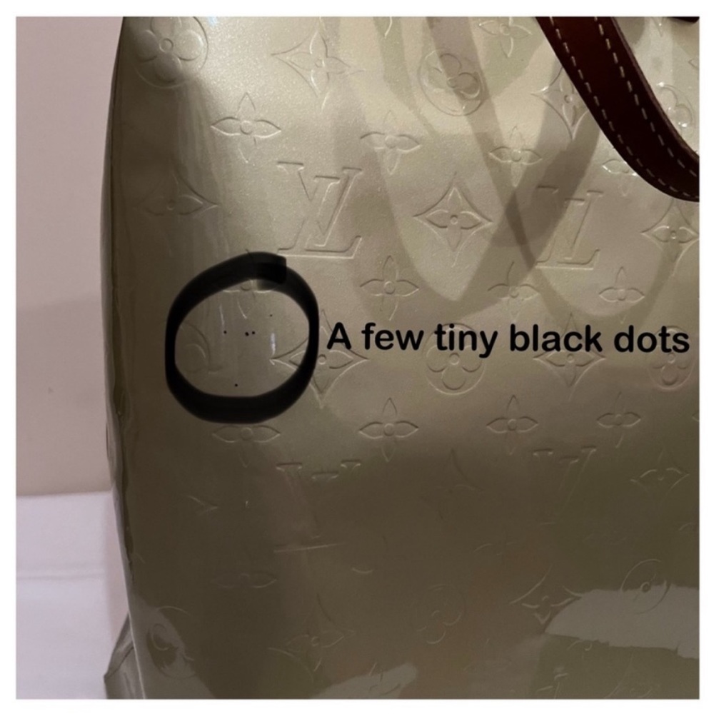 Louis Vuitton or Dior Box or Dustbag for $75 = 1 chance to win LV Vernis Tote - Picture 15 of 16